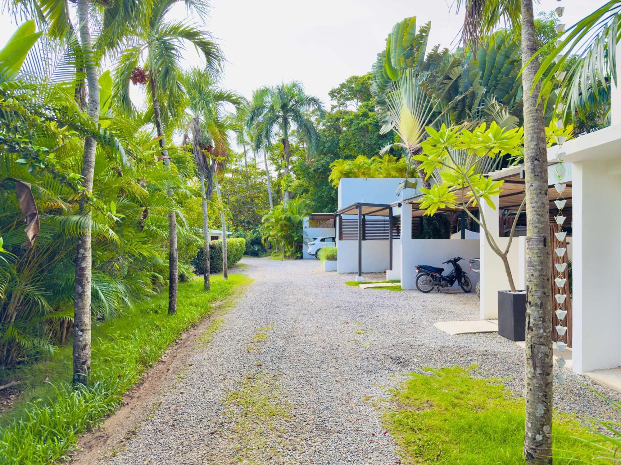 Soul Dream Bonita Apartment Las Terrenas Exterior foto