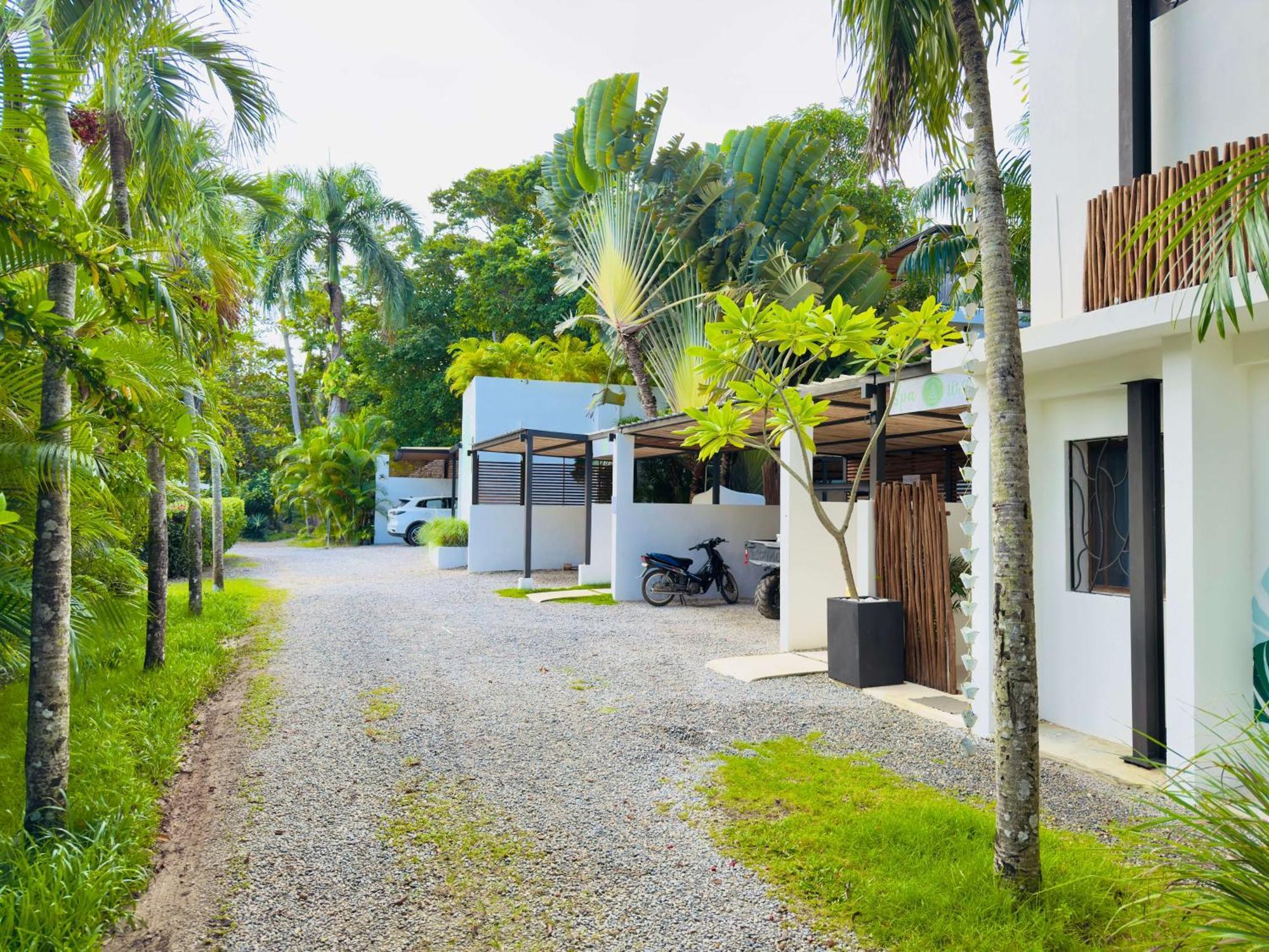 Soul Dream Bonita Apartment Las Terrenas Exterior foto